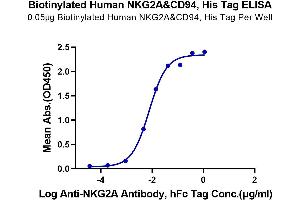 Immobilized Biotinylated Human NKG2A&CD94, His Tag at 0. (NKG2A & CD94 (AA 100-233) protein (His-Avi Tag,Biotin))