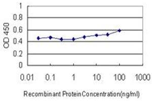 Detection limit for recombinant GST tagged LIPA is approximately 10ng/ml as a capture antibody. (Lipase A antibody  (AA 1-399))