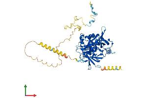 AlphaFold protein structure predicition of Human Recombinant EIF3D Protein, UniprotID O15371