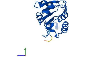 AlphaFold protein structure predicition of Human Recombinant FUOM Protein, UniprotID A2VDF0 (FUOM Protein (AA 1-154) (His tag))