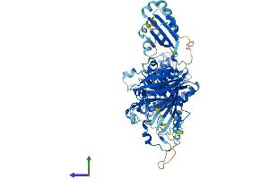 Protein Structure (PS) image for Hydroxysteroid (17-Beta) Dehydrogenase 4 (HSD17B4) (AA 1-736) protein (His tag) (ABIN7547100)