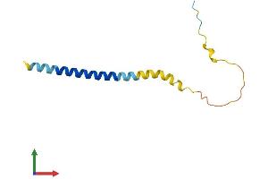 Protein Structure (PS) image for Leukocyte Specific Transcript 1 (LST1) (AA 1-97) protein (His tag) (ABIN7549242)