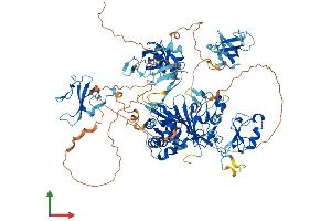 AlphaFold protein structure predicition of Human Recombinant CYLD Protein, UniprotID Q9NQC7 (CYLD Protein (AA 1-956) (His tag))