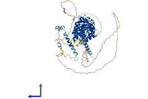 AlphaFold protein structure predicition of Mouse Recombinant Ggnbp2 Protein, UniprotID Q5SV77 (GGNBP2 Protein (AA 1-696) (His tag))