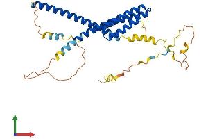 Protein Structure (PS) image for Nuclear Receptor Binding Factor 2 (NRBF2) (AA 1-287) protein (His tag) (ABIN7554779)