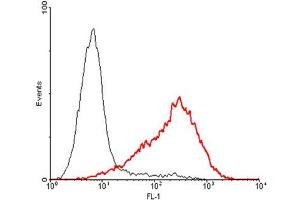 FACS: Con A activated human T lymphocytes were stained significantly using anti-GITR (human), pAb .