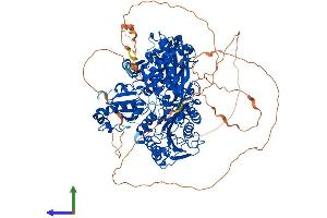 AlphaFold protein structure predicition of Human Recombinant SEC24C Protein, UniprotID P53992 (SEC24C Protein (AA 1-1094) (His tag))