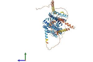 AlphaFold protein structure predicition of Human Recombinant SLC24A2 Protein, UniprotID Q9UI40 (SLC24A2 Protein (AA 1-661) (His tag))