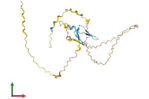AlphaFold protein structure predicition of Human Recombinant PRR23B Protein, UniprotID Q6ZRT6 (PRR23B Protein (AA 1-265) (His tag))