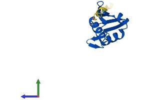 AlphaFold protein structure predicition of Human Recombinant RPL22L1 Protein, UniprotID Q6P5R6 (RPL22/L1 Protein (AA 1-122) (His tag))