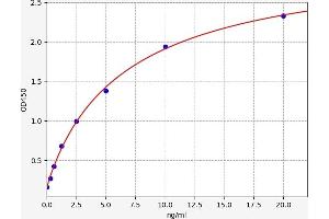Typical standard curve (EPH Receptor A4 ELISA Kit)