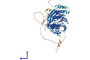 Protein Structure (PS) image for WD Repeat Domain 26 (WDR26) (AA 1-661) protein (His tag) (ABIN7545090)