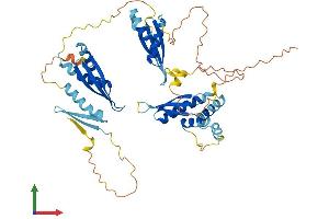 Protein Structure (PS) image for Staufen Double-Stranded RNA Binding Protein 1 (STAU1) (AA 1-487) protein (His tag) (ABIN7556367)
