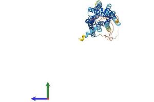 AlphaFold protein structure predicition of Mouse Recombinant Htr1d Protein, UniprotID Q61224 (5HT1D Protein (AA 1-374) (His tag))