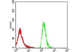 Flow cytometric analysis of MOLT4 cells using LILRA1 mouse mAb (green) and negative control (red). (LILRA1 antibody  (AA 322-461))