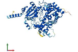AlphaFold protein structure predicition of Human Recombinant CYP3A43 Protein, UniprotID Q9HB55 (CYP3A4 Protein (AA 1-503) (His tag))