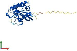 Protein Structure (PS) image for NFKB Inhibitor Interacting Ras-Like 1 (NKIRAS1) (AA 1-192) protein (His tag) (ABIN7559281)