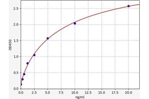 DUSP9 ELISA Kit