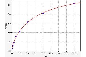 Typical standard curve (DUSP9 ELISA Kit)