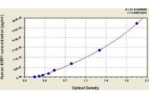 Typical Standard Curve (XIRP1 ELISA Kit)