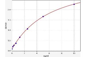 SLC25A5 ELISA Kit