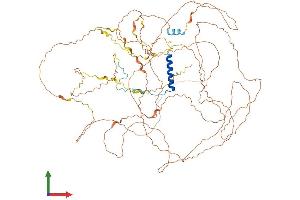 AlphaFold protein structure predicition of Human Recombinant POM121B Protein, UniprotID A6NF01 (POM121B Protein (AA 1-834) (His tag))