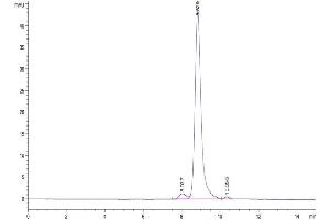 The purity of Human BTN2A1 is greater than 95 % as determined by SEC-HPLC. (BTN2A1 Protein (AA 29-248) (His tag))