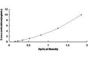 Left-Right Determination Factor 1 (LEFTY1) ELISA Kit