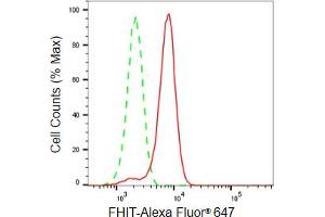 Flow cytometric analysis of FHIT expression in HeLa cells using FHIT antibody (ABIN7798657), 1:2,000). (Recombinant FHIT antibody)