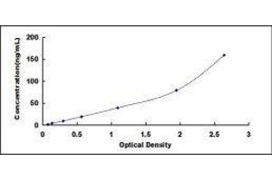 ELISA image for Insulin-Like Growth Factor Binding Protein 7 (IGFBP7) ELISA Kit (ABIN433281)