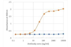 Binding curve of anti-B7-H3 antibody MJ18 (ABIN7072434) to mouse B7-H3-Fc fusion protein ELISA Plate coated with mouse B7-H3-Fc fusion protein (Pr00158-1. (Recombinant CD276 antibody  (Extracellular Domain))