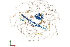 AlphaFold protein structure predicition of Human Recombinant RPRD2 Protein, UniprotID Q5VT52 (RPRD2 Protein (AA 1-1461) (His tag))