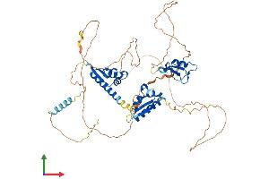 AlphaFold protein structure predicition of Human Recombinant MEX3B Protein, UniprotID Q6ZN04