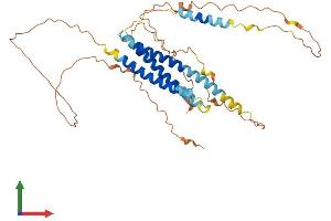 AlphaFold protein structure predicition of Mouse Recombinant Syne4 Protein, UniprotID Q8CII8 (C19orf46 Protein (AA 1-388) (His tag))