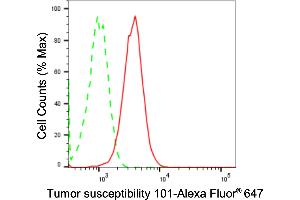 Flow cytometric analysis of Tumor susceptibility 101 expression in HT- cells using Tumor susceptibility 101 antibody (ABIN7800697), 1:2,000). (Recombinant TSG101 antibody)