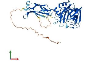 Protein Structure (PS) image for Phytanoyl-CoA 2-Hydroxylase Interacting Protein-Like (PHYHIPL) (AA 1-375) protein (His tag) (ABIN7558584)