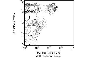 Two-color analysis of the expression of Vbeta 8 TCR on peripheral lymphocytes. (Vbeta 8 TCR antibody)