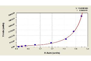 Image no. 1 for Angiogenin (ANG) ELISA Kit (ABIN365222) (ANG ELISA Kit)