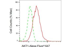 Flow cytometric analysis of AKT1 expression in HAP-1 cells using AKT1 antibody (ABIN7800776), 1:2,000). (Recombinant AKT1 antibody)