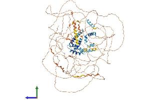 AlphaFold protein structure predicition of Mouse Recombinant Nutm1 Protein, UniprotID Q8BHP2 (NUT (AA 1-1126) protein (His tag))