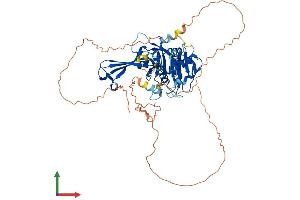 AlphaFold protein structure predicition of Human Recombinant USP17L20 Protein, UniprotID D6RJB6 (USP17L20 Protein (AA 1-530) (His tag))
