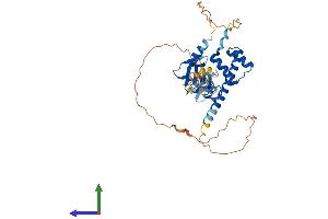 Protein Structure (PS) image for LIM Homeobox Transcription Factor 1, alpha (LMX1A) (AA 1-382) protein (His tag) (ABIN7561650)