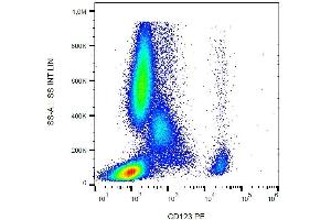 Surface staining of human peripheral blood with anti-CD123 (6H6) PE. (IL3RA antibody  (PE))