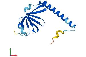 AlphaFold protein structure predicition of Mouse Recombinant Lsm1 Protein, UniprotID Q8VC85 (LSM1 Protein (AA 1-133) (His tag))