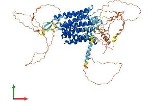 AlphaFold protein structure predicition of Mouse Recombinant Mfsd6 Protein, UniprotID Q8CBH5