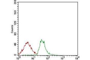 Flow cytometric analysis of Jurkat cells using ALCAM mouse mAb (green) and negative control (red). (CD166 antibody  (AA 48-216))
