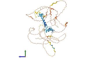 AlphaFold protein structure predicition of Human Recombinant EGR4 Protein, UniprotID Q05215 (EGR4 Protein (AA 1-589) (His tag))