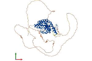 AlphaFold protein structure predicition of Human Recombinant EYA3 Protein, UniprotID Q99504 (EYA3 Protein (AA 1-573) (His tag))