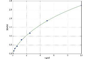 Adenosine A1 Receptor (ADORA1) ELISA Kit