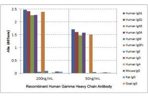 ELISA of human immunoglobulins shows the recombinant Human IgG antibody reacted to the G1, G2, G3, G4 heavy chain of hIgGs, and the Fc of hIgG. (Recombinant IGHG antibody)